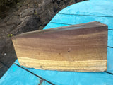 Hibiscus Blue Mahoe Bowl Blank 11.5”x3-6”x4.5-5”