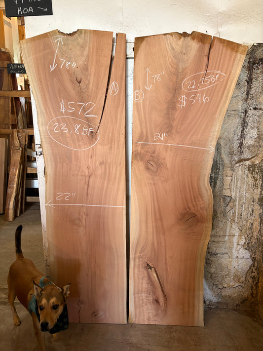 Queensland Maple Midsize Slab B