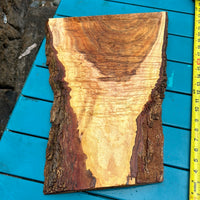 Curly Koa Live Edge 19.5”x10-14”x7/8”