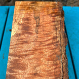 Premium Master Grade Curly Mango 14”x4-5”x2”