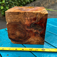 Curly Koa bowl blank 6”x5 3/4”x5 1/4”