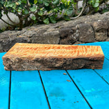 Premium Master Grade Curly Mango 14”x4-5”x2”