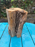 Sugi Bowl Turning Blank 10”x9.5”x5”