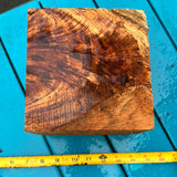 Curly Koa bowl blank 6”x5 3/4”x5 1/4”