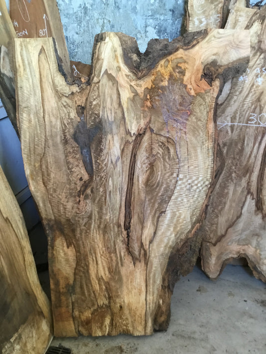 Chocolate Mango 62”L x 39”W 8/4