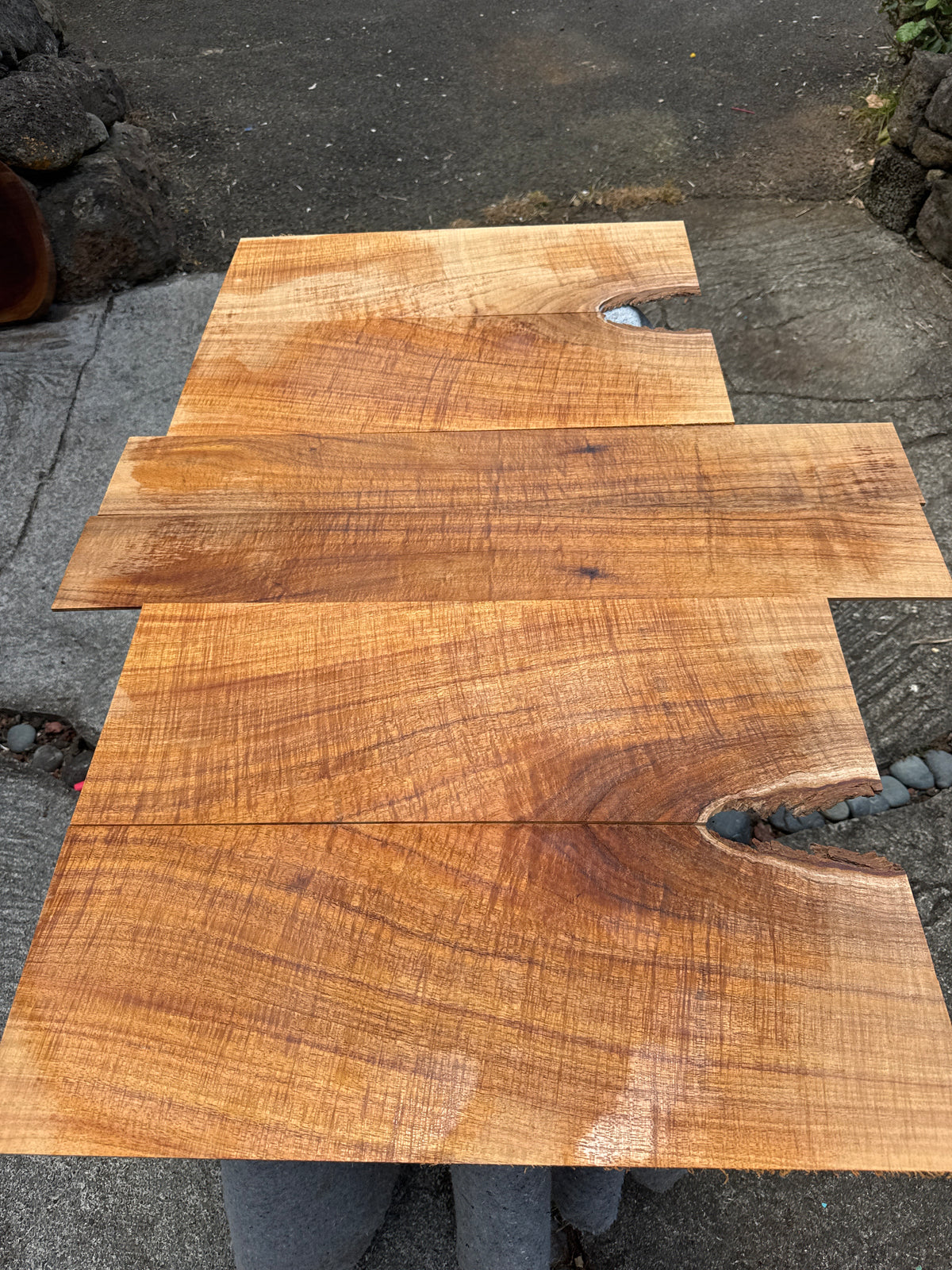 Premium Curly Koa 6 piece Classical Guitar CI/000 set