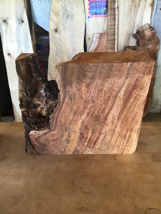 Curly Koa bowl blank 12”x10”x4”