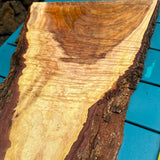 Curly Koa Live Edge 19.5”x10-14”x7/8”