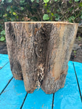 Sugi Bowl Turning Blank 10”x9.5”x5”