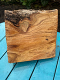 Olive Wood Bowl Blank 9.5”x9”x1.5-4.5”