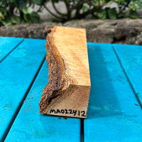 Premium Master Grade Curly Mango 14”x1-3.5”x2”