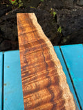 Curly Live Edge Koa slab 23.5”x4”x2”