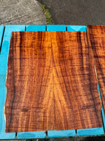 Premium Koa Baritone Ukulele 4pc set