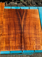 Premium Koa Baritone Ukulele 4pc set