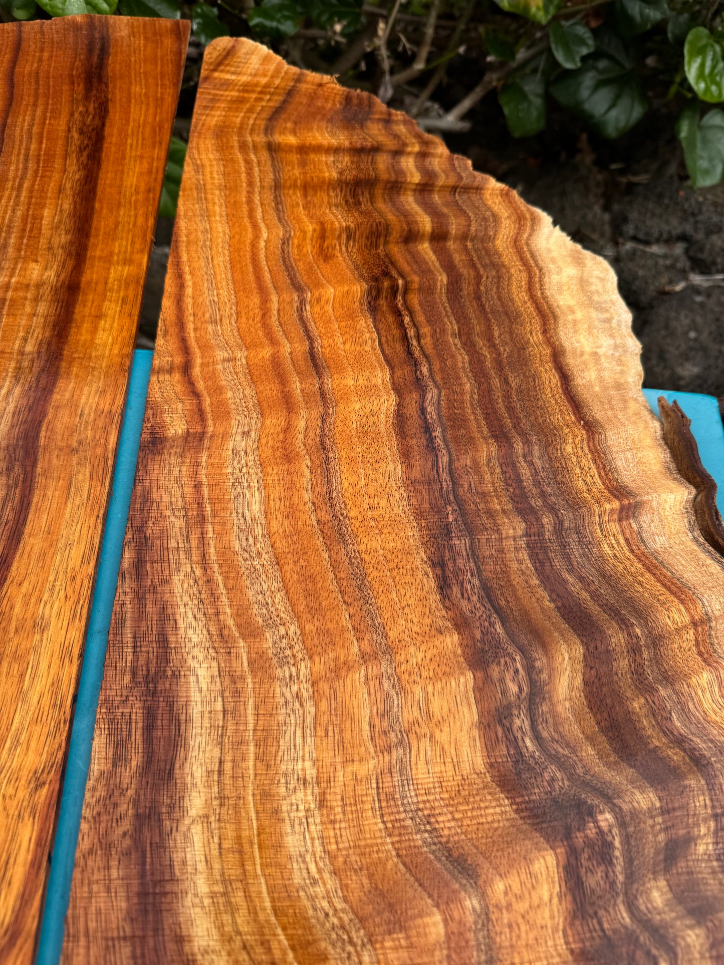 Curly Koa 4mmx28”x9-13”