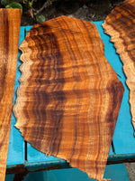 Curly Koa 4 pieces at 4mmx17-32”x8-12”