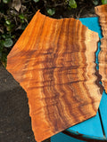 Curly Koa 4 pieces at 4mmx17-32”x8-12”