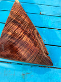 Curly Koa wood 14.5”x1/2-9”x1”
