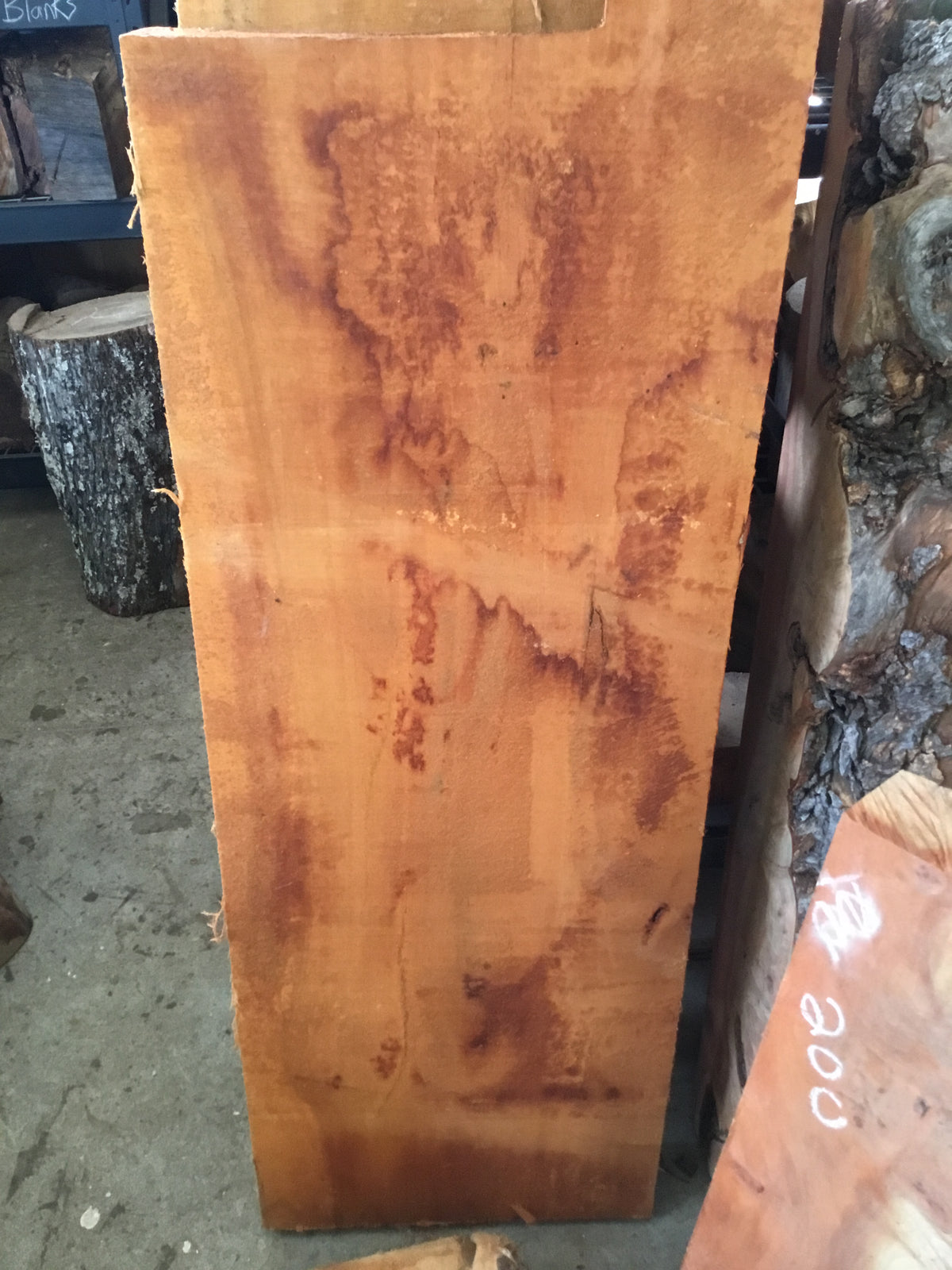 Papa ku’i’ai62x 16”x 3.75” ulu board (GREEN)