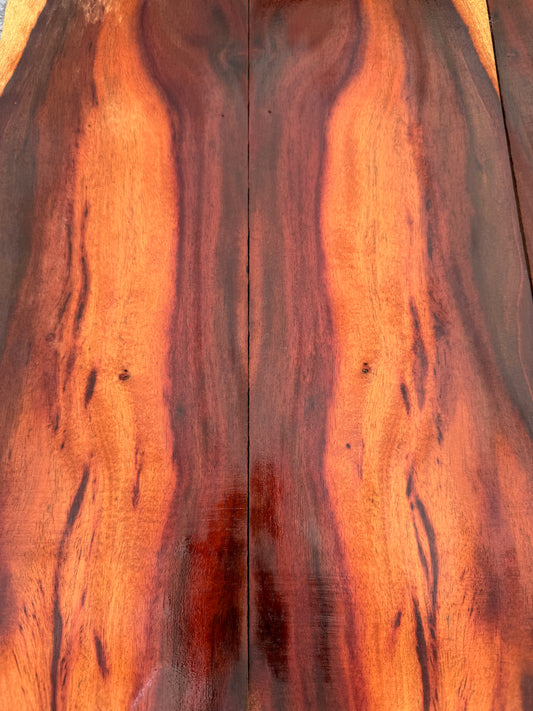 “The Allegretto” Milo 4 piece Baritone Ukulele set