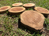 Rustic Milo Rounds coaster set 6 piece