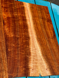 Premium curly Koa 4 piece Tenor Ukulele set