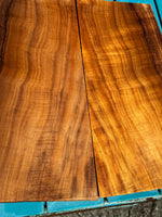 Premium Curly Koa Tenor ukulele 4 piece set