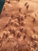 Birds Eye Queensland Maple board 16”x6”x1”