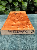 Birds Eye Queensland Maple board 16”x6”x1”