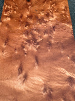 Birds Eye Queensland Maple board 16”x6”x1”