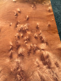 Birds Eye Queensland Maple board 16”x6”x1”