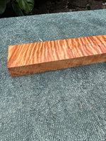 Curly Queensland Maple Knife Scale Blank 12.5”x1 3/4”x1”