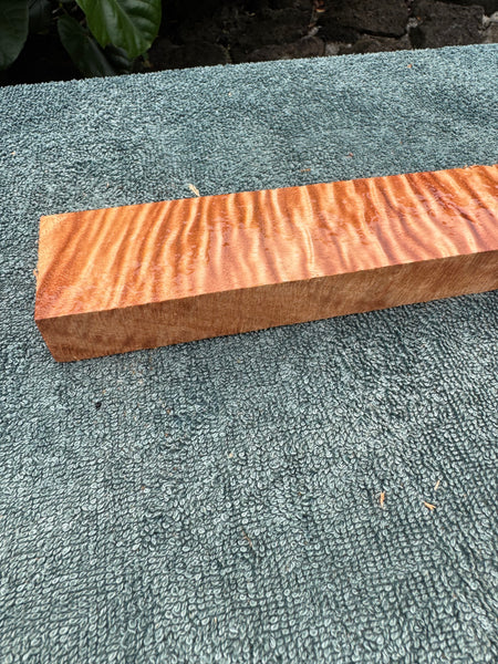 Curly Queensland Maple Knife Scale Blank 12.5”x1 3/4”x1”