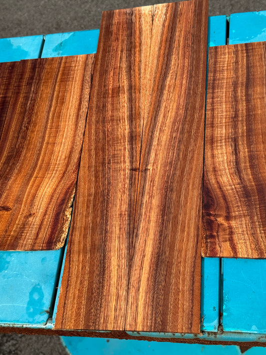 Premium Curly Koa Concert Ukulele 6 piece set