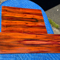 Curly Milo Tenor Ukulele 4 piece set
