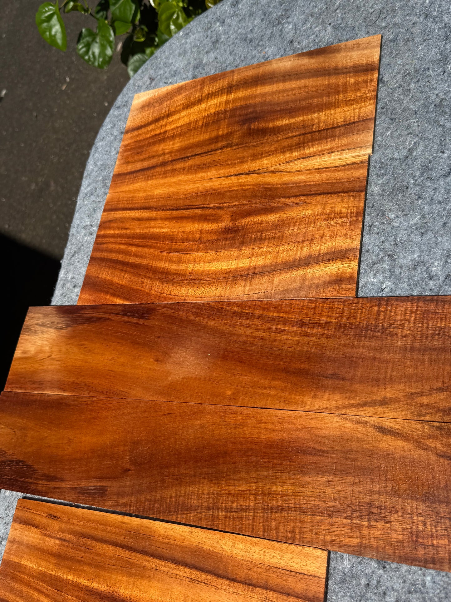 “The Overture” 2A Curly Koa Concert Ukulele 6 piece set