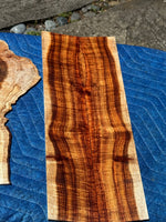 Premium Curly Koa 4 piece Tenor Ukulele set
