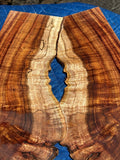 Premium Curly Koa 4 piece Tenor Ukulele set