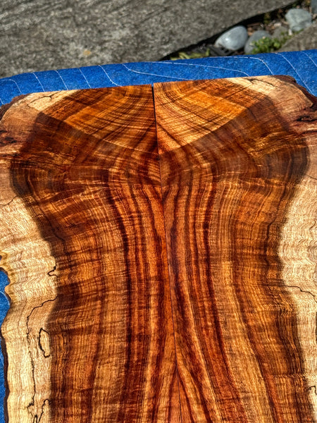 Premium Curly Koa 4 piece Tenor Ukulele set