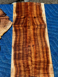Premium Curly Koa 4 piece Tenor Ukulele set