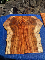 Premium Curly Koa 4 piece Tenor Ukulele set