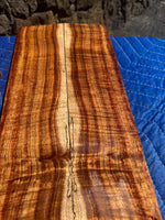 Premium Curly Koa 4 piece Tenor Ukulele set