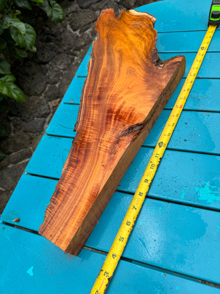 Curly Koa Live Edge 19.5-26”x2-8”x2”