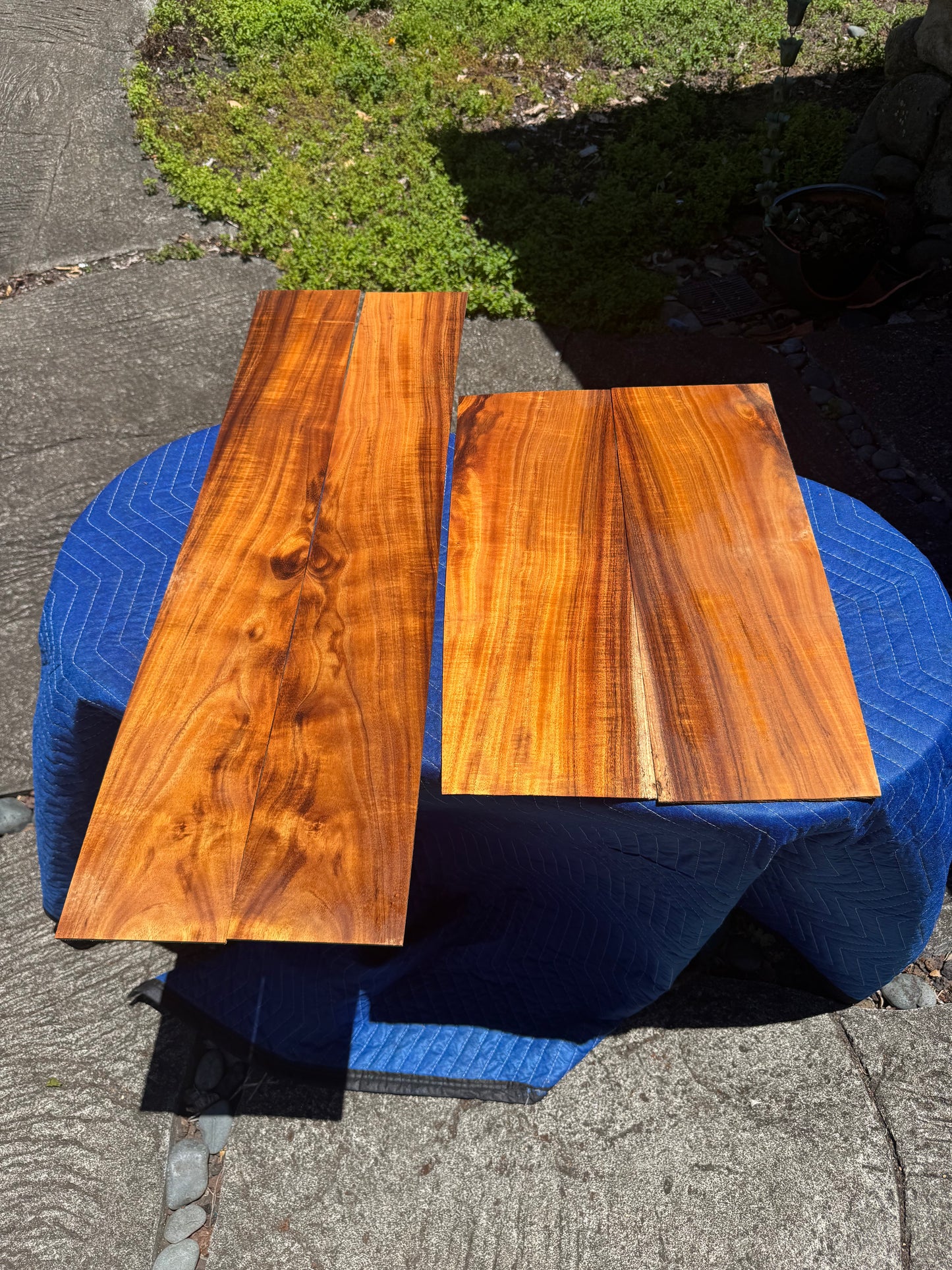 Curly Koa Jumbo Guitar 4 piece set