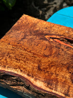 Curly Koa Live Edge Bowl Blank 10 3/4”x8”x2-4”