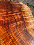 Live Edge Premium Koa slab 52”x5.5-9.5”x2”