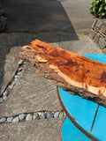 Live Edge Premium Koa slab 52”x5.5-9.5”x2”