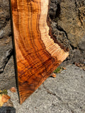 Live Edge Premium Koa slab 52”x5.5-9.5”x2”