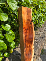 Live Edge Premium Koa slab 52”x5.5-9.5”x2”