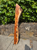 Live Edge Premium Koa slab 56.5”x5-9.5”x2”